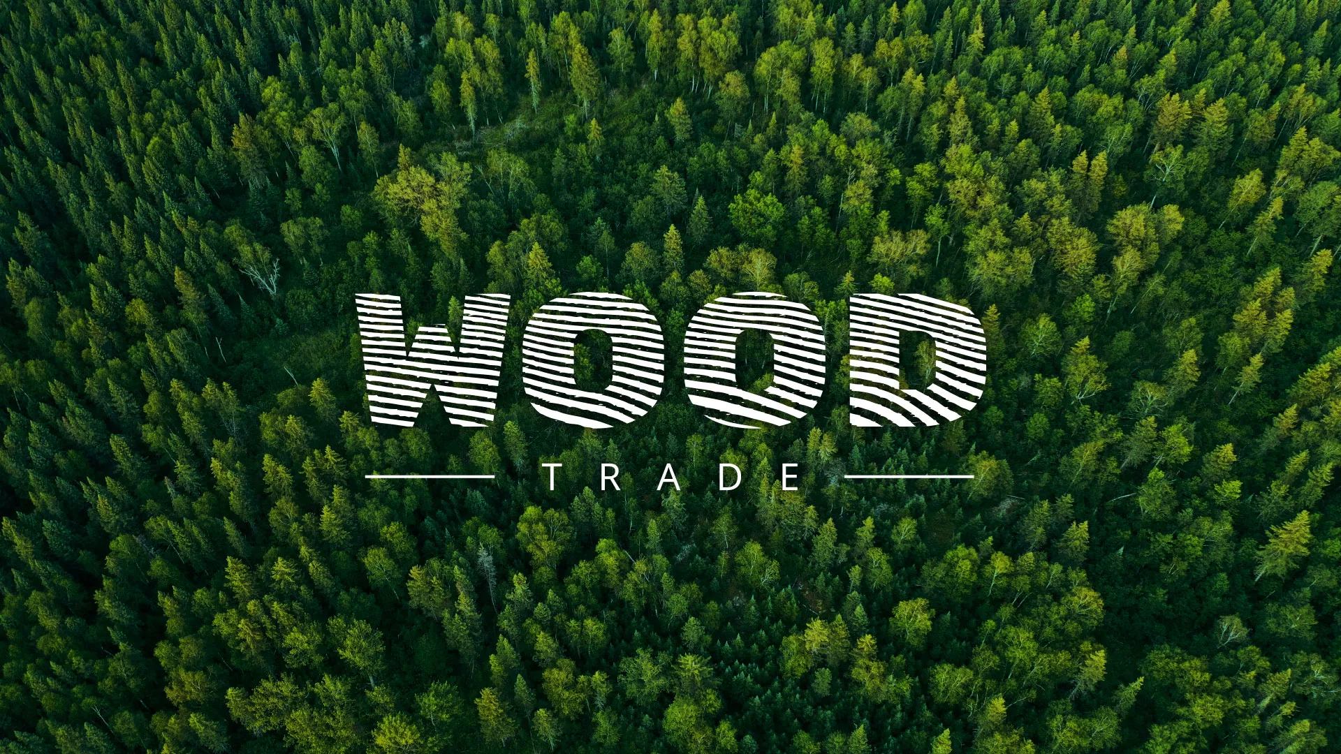 Разработка интернет-магазина компании «Wood Trade» в Тайшете